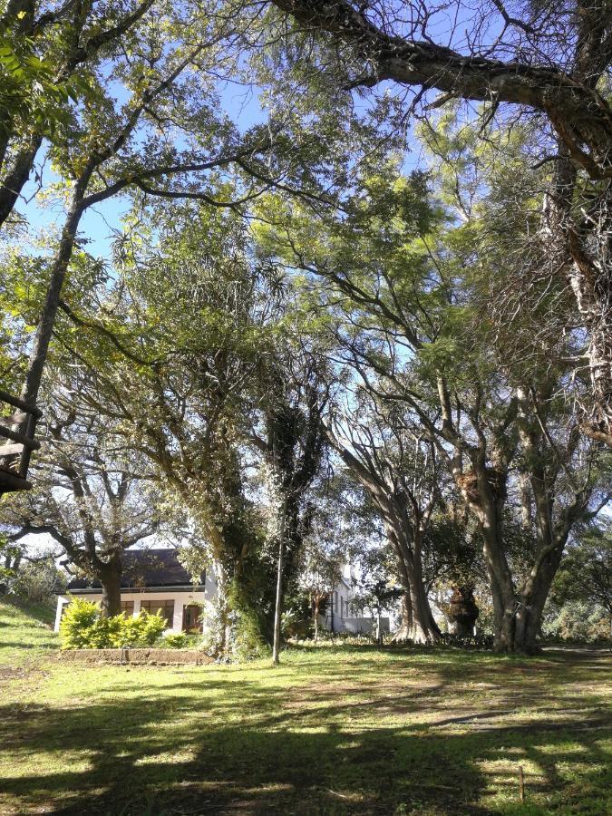 Le Arc Manor House Franschhoek Exterior foto