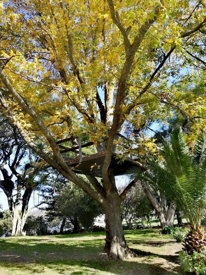 Le Arc Manor House Franschhoek Exterior foto